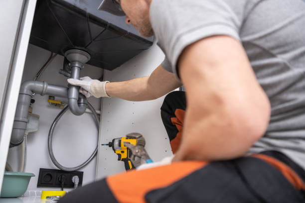 Best Local Plumber Services  in Hartland, WI