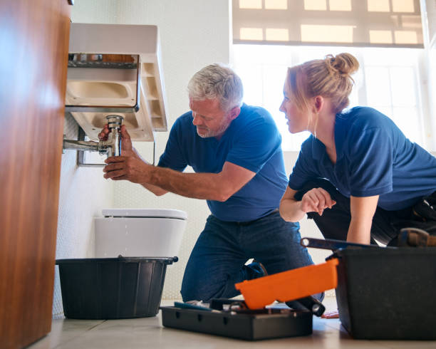 Best Affordable Plumbing Services  in Hartland, WI